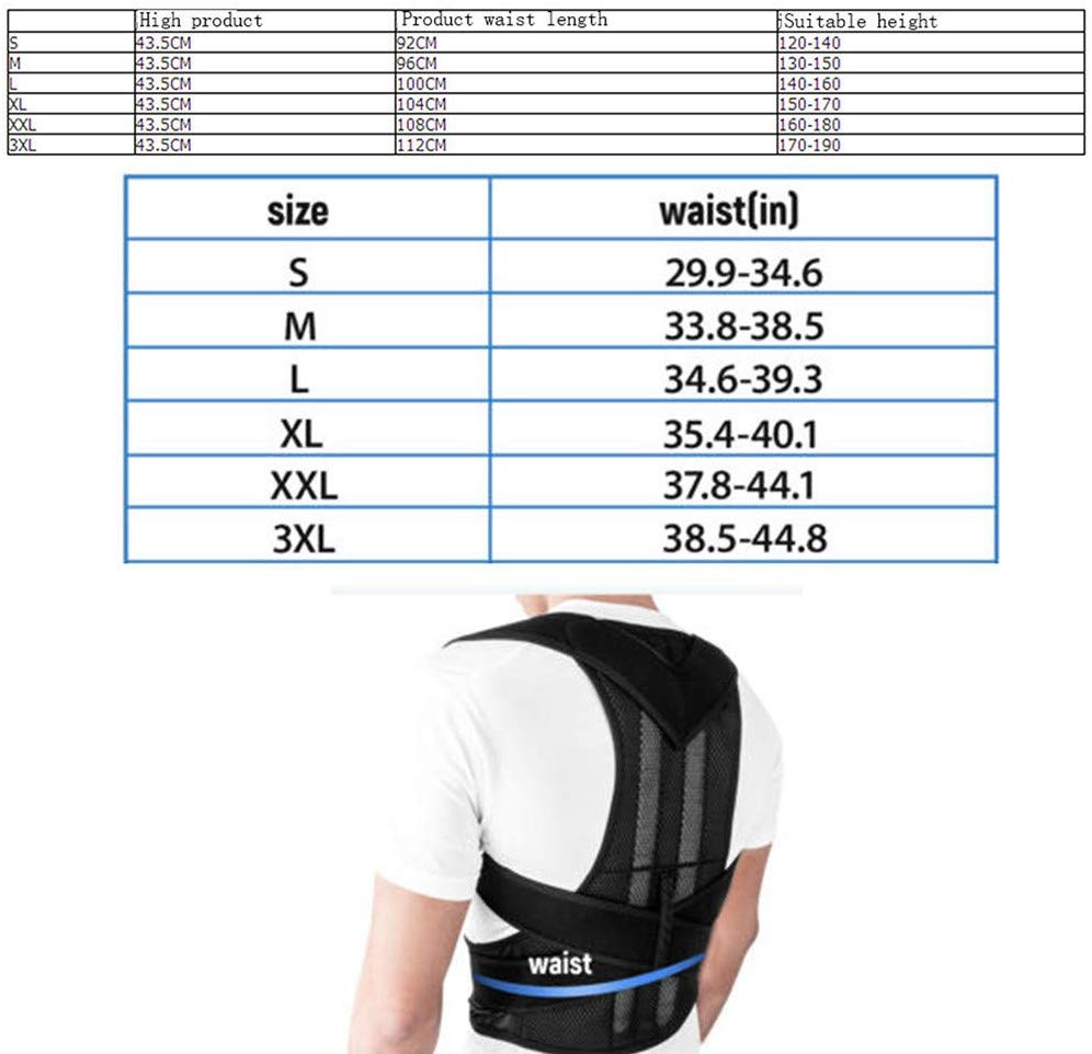 Back pain relief posture corrector belt - Large